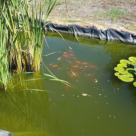 Agriturismo La Barca In Secca 奥尔梅多 外观 照片