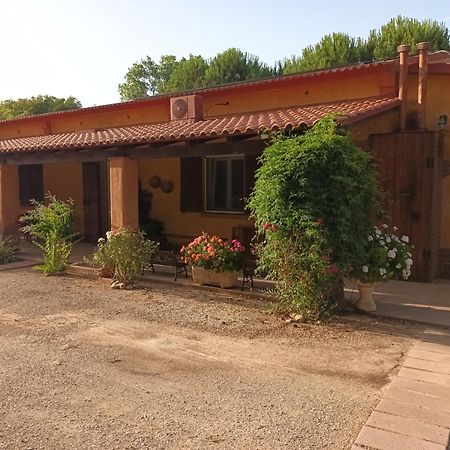 Agriturismo La Barca In Secca 奥尔梅多 外观 照片
