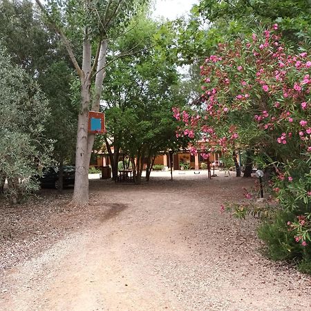 Agriturismo La Barca In Secca 奥尔梅多 外观 照片