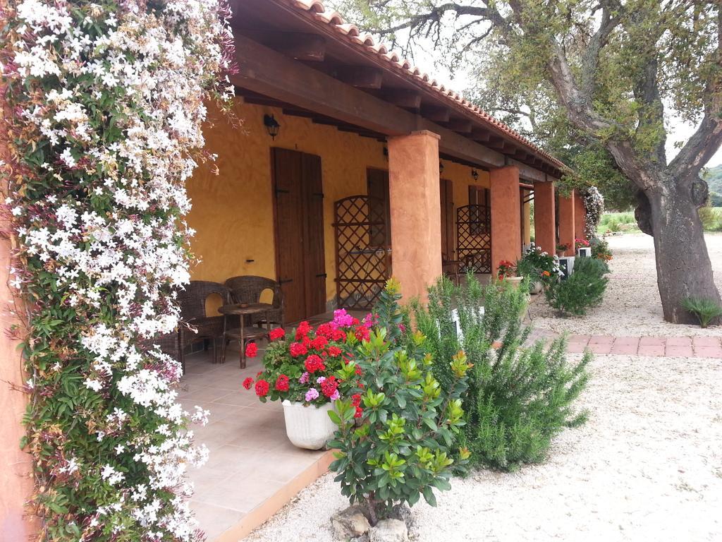Agriturismo La Barca In Secca 奥尔梅多 外观 照片