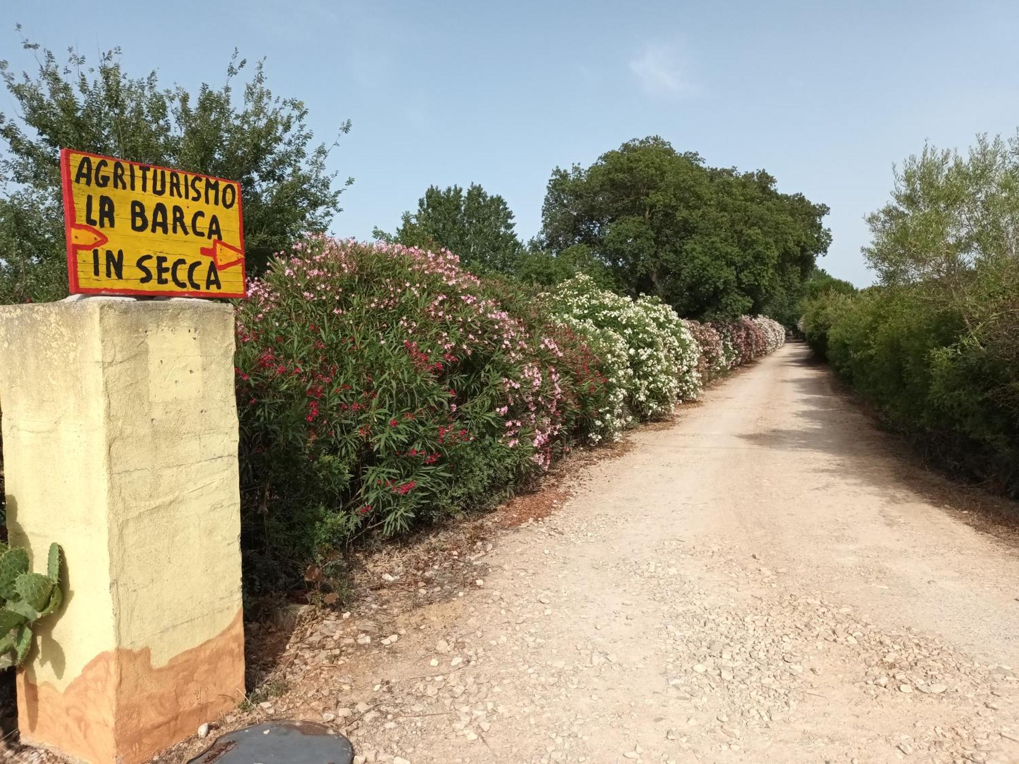 Agriturismo La Barca In Secca 奥尔梅多 外观 照片